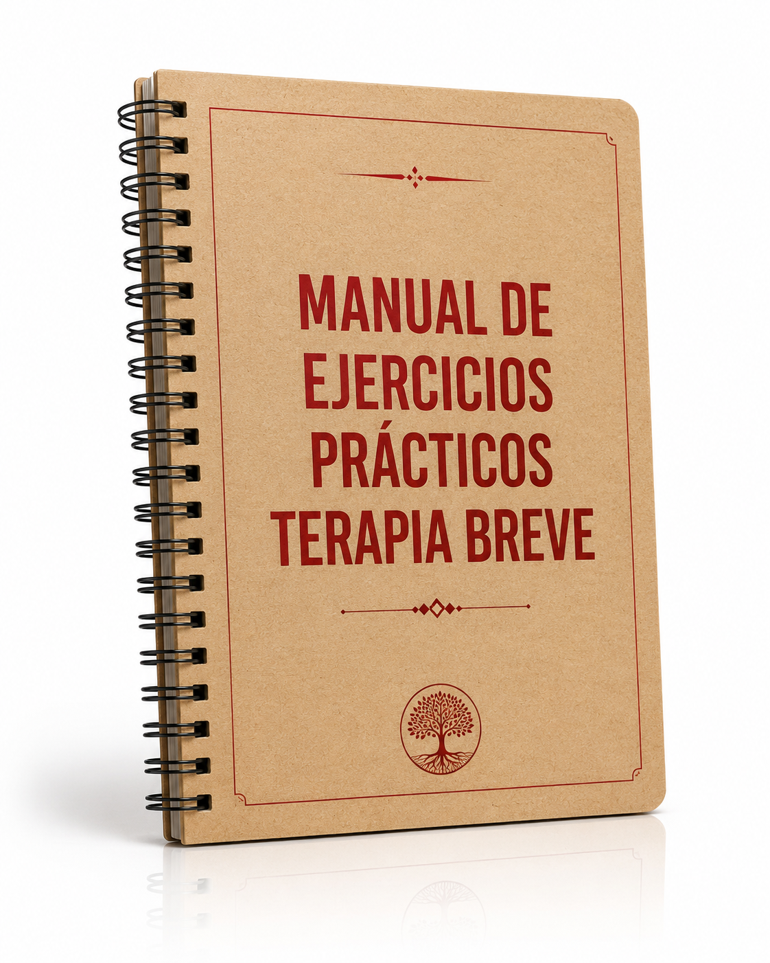 Manual de ejercicios prácticos de terapia breve